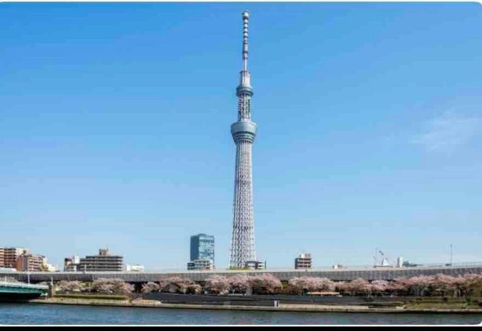 Momo Palace Tokio Habitación foto